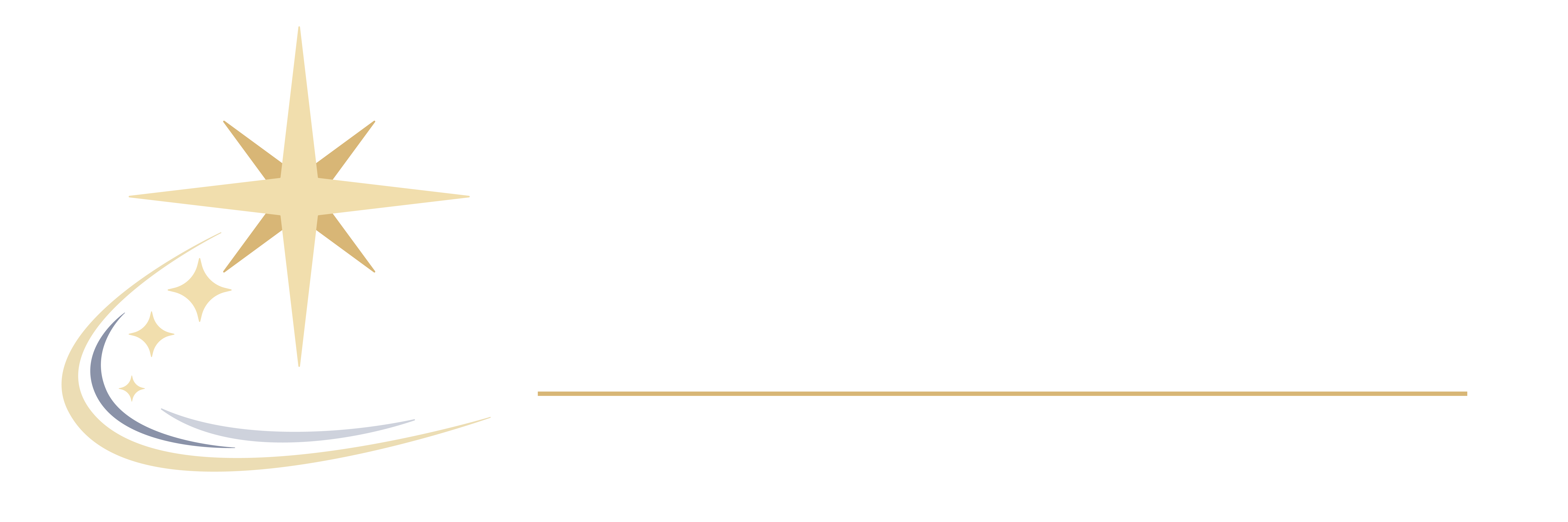 Polaris Strategy & Capture Consulting